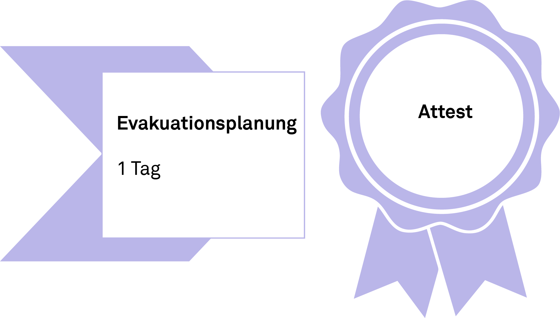 Evacuation Steward CFPA-E